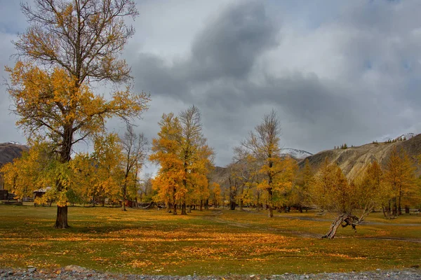 Russland Südwestsibirien Herbst Altai Der Nähe Des Naturparks Marsfelsen — Stockfoto