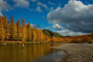 Rusya. Uzak Doğu. Sonbahar, Magadan soğuk su ırmakları kullanılır.