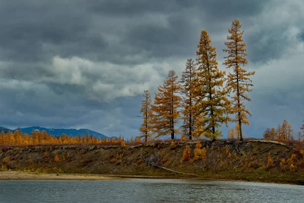 Russia Far East Colours Autumn Cold Water Rivers Magadan — Stock Photo, Image