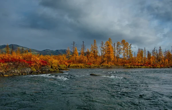 Russia Estremo Oriente Colori Dell Autunno Sono Fiumi Acqua Fredda — Foto Stock