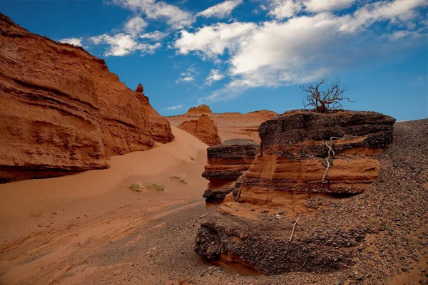 Mongólia Parte Central Deserto Gobi Saxália Álamo Oásis Herman Tsav — Fotografia de Stock