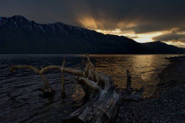 Rusya. Batı Sibirya güneyinde. Dağ altay. Bahar şafak Gölü Teletskoye kıyısında.
