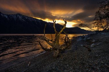 Rusya. Batı Sibirya güneyinde. Dağ altay. Bahar şafak Gölü Teletskoye kıyısında.