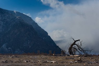 Rusya. Altay Dağı. Çulyshman nehri vadisi Teletskoye gölüne akar.