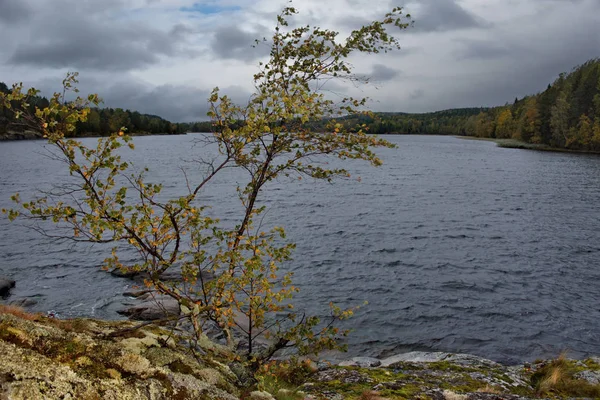 Rússia República Carélia Ilhas Costa Noroeste Lago Ladoga Perto Cidade — Fotografia de Stock