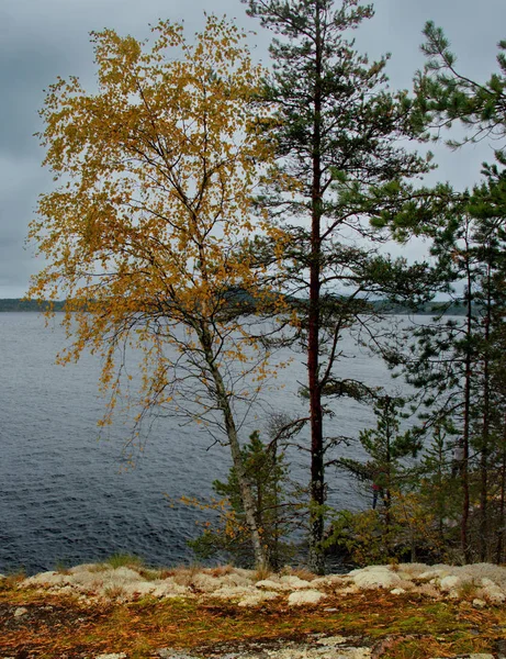 Rússia República Carélia Ilhas Costa Noroeste Lago Ladoga Perto Cidade — Fotografia de Stock