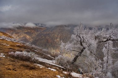 Altay dağlarında soğuk sis. Rusya. Çulyshman nehir vadisi manzaralı Katu-Yaryk geçidinde sabahın erken saatlerinde.