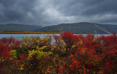 Rusya. Magadan. Uzakdoğu'nun sonbahar inanılmaz güzelliği. Göl Maxi