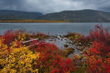 Rusya. Magadan. Uzakdoğu'nun sonbahar inanılmaz güzelliği. Göl Maxi