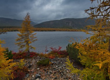 Rusya. Magadan. Uzakdoğu'nun sonbahar inanılmaz güzelliği. Göl Maxi