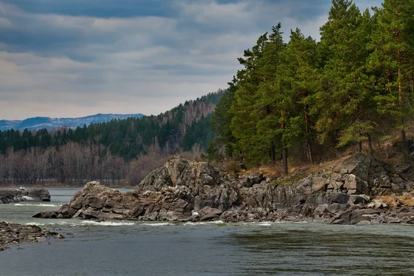 Rusia Sur Siberia Occidental Primavera Temprana Las Montañas Altai Río —  Fotos de Stock