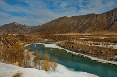 Rusya. Batı Sibirya'nın güneyi. Altay dağlarında ilkbaharın başlarında, Katun nehri.