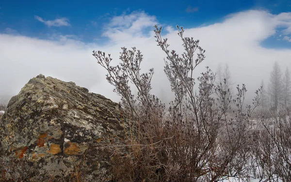 Rusia Montaña Altai Temprano Mañana Paso Katu Yaryk Con Vistas — Foto de Stock