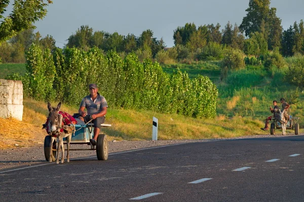 Uzbekistan 2019 Lokalny Chłopski Jeździ Wózku Osioł Który Jest Najczęstszym — Zdjęcie stockowe