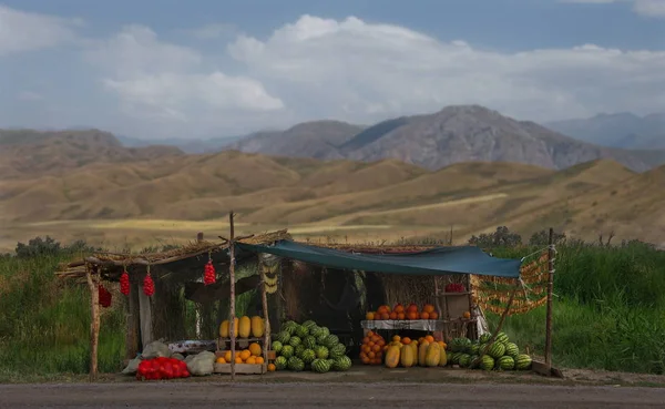 South East Kazakhstan Melon Market Kegen Almaty Highway Local Farmers — Stock Photo, Image