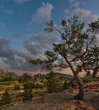 Doğu Kazakistan. Milli Park Bayanaul nehirlerde Yaz