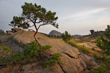 Doğu Kazakistan. Milli Park Bayanaul nehirlerde Yaz