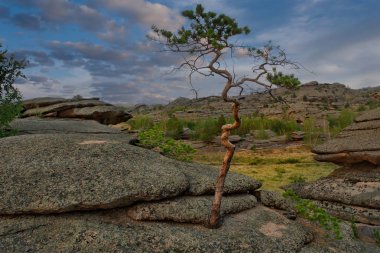 Doğu Kazakistan. Bayanaul dağlarında şaşırtıcı yaz günbatımları