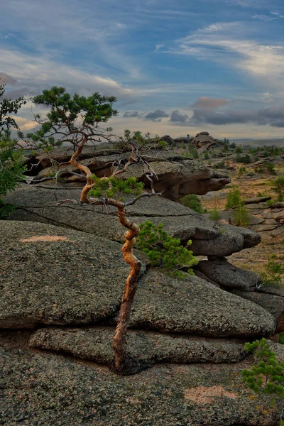 Doğu Kazakistan. Bayanaul dağlarında şaşırtıcı yaz günbatımları