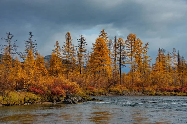 Russia. Far East. The colours of autumn are cold-water rivers of Magadan, tributaries of the Kolyma river