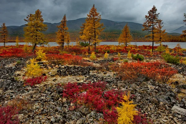 Rusko Magadan Neskutečné Krásy Podzimu Dálném Východě Maxi Jezero — Stock fotografie