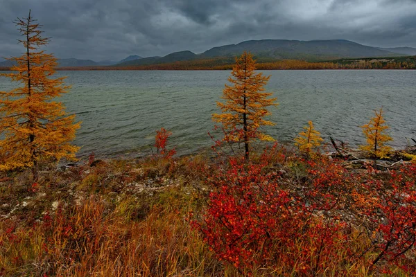 Ρωσία Μάγκανταν Καταπληκτική Ομορφιά Του Φθινοπώρου Της Άπω Ανατολής Λίμνη — Φωτογραφία Αρχείου
