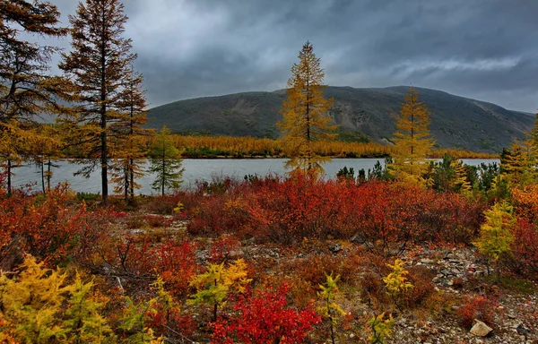 Russie Magadan Beauté Étonnante Automne Extrême Orient Lac Maxi — Photo