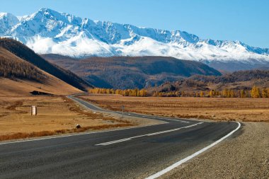 Altay Dağları'nın Raptors