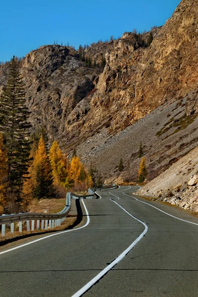 Rapaces Des Montagnes Altaï — Photo