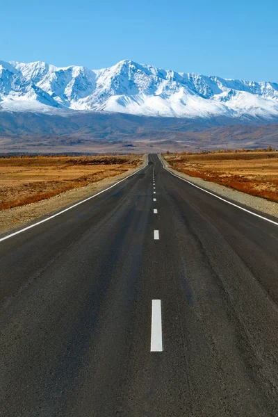 Altay Dağları'nın Raptors
