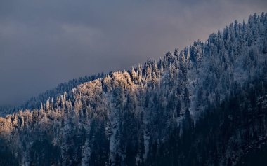 - Rusya. Batı Sibirya 'nın güneyi, Altai Dağı. Katu-Yaryk geçidi yakınlarındaki Chulyshman nehir vadisini çevreleyen karlı dağlar..