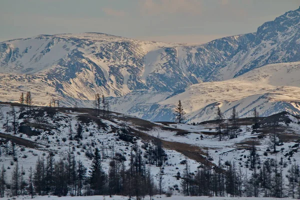 Росія Південь Від Західного Сибіру Гора Алтай Захід Сонця Гірському — стокове фото