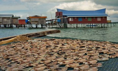 Malezya. Borneo 'nun doğu kıyısında bir resif adası. Deniz çingenelerinden oluşan bir balıkçı köyünde bir balık avı güneşte kuruyor..