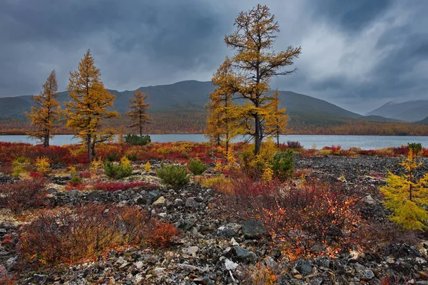 Russia. Far East. The colours of autumn are cold-water lakes of Magadan.