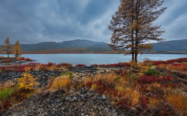 Ryssland Långt Österut Höstens Färger Magadans Kallvattensjöar — Stockfoto