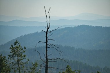 - Rusya. Altai Dağı. Krasnoyarsk bölgesindeki orman yangınları nedeniyle dağlar kilometrelerce boyunca dumanla kaplıdır. Bu da dış hatlarını çok anlamlı kılar..