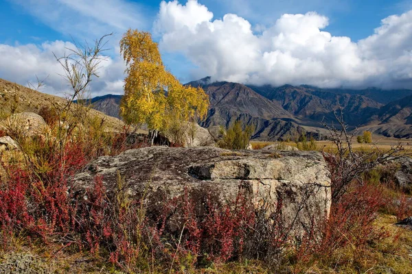 Russland Südwestsibirien Bergaltai Erstaunliche Steinsetzer Flusstal Des Katun Entlang Des — Stockfoto