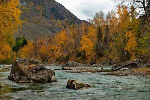 Rusko Jihozápadní Sibiř Altai Mountains Břeh Řeky Chuya Vesnice Yodro — Stock fotografie