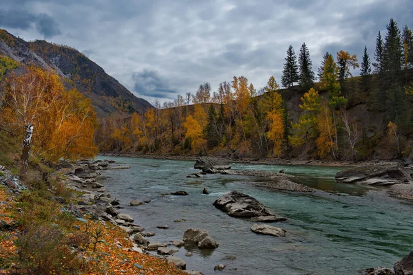 Rusko Jihozápadní Sibiř Altai Mountains Břeh Řeky Chuya Vesnice Yodro — Stock fotografie