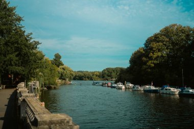 Twickenham, Londra, Birleşik Krallık 2025.09.06 Thames Nehri 'nin kıyı boyunca demirlemiş, ağaçlarla çevrili ve nehir kenarında parlak bir gökyüzü altında yer alan manzarası.. 