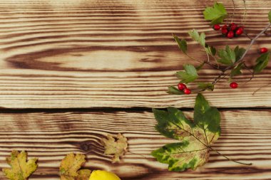 Ahşap zemin üzerinde sonbahar akçaağaç yaprakları