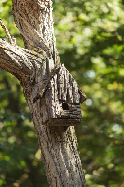 Старый ручной скворечник на дереве — стоковое фото