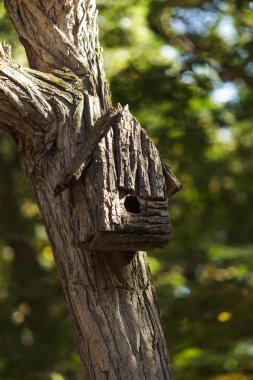Bir ağaç üzerinde eski el yapımı kuş yuvası