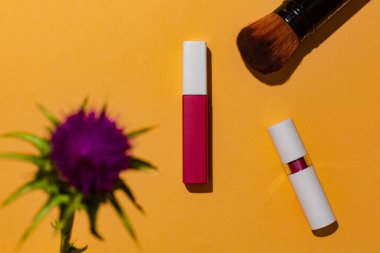 Yaz mevsimi için dekoratif makyaj ürünleri, hangi markayı kullanacağı konusunda blog yazarından tavsiye. Ruj ve fırçayla turuncu arkaplan bileşimi.