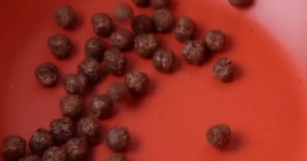 Zpomalený pohyb padajících kakaových kukuřičných vloček. Ranní snídaně čas, Choco kukuřičné vločky padající v misce připravit jídlo. — Stock video