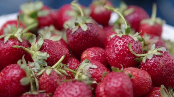 Kobieta kładzie dojrzałe truskawki na talerzu, świeże organiczne jedzenie pełne witamin. — Wideo stockowe