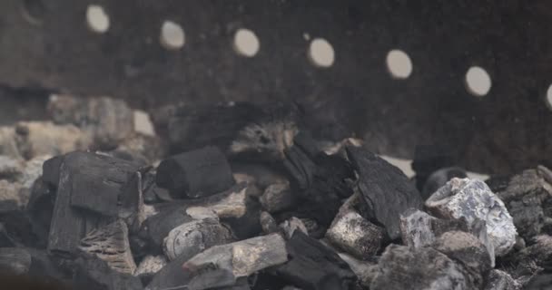 Open haard met brandende as en rook, bereid om barbecue buiten te koken. Langzame beweging van brandende kolen in kampvuur. — Stockvideo