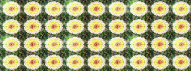 Elle boyanmış suluboya resim çizimleri, çiçekler ve bitkiler. Yeşil ve sarı renkte çiçekler.