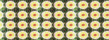 Raster illüstrasyonu. Suluboya çiçekli çiçek deseni. Yeşil ve nötr renklerde Asyalı tekstil.