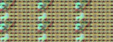 Büyük bir çiçek boyası seti. Raster şirin suluboya çiçek desenleri çiziyor. Kartlar, davetiyeler, tarih kartları ve daha fazlası için kullanılabilir.